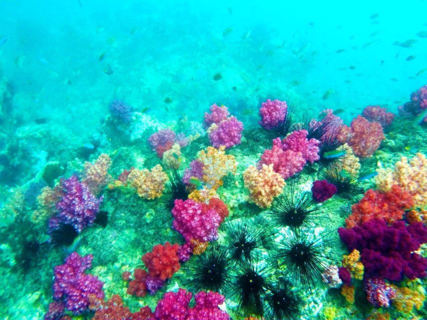 Koh Lipe Snorkeling Trip 6 hours Trip1 - Stop 4: Koh Adang and Sai Sai Bay, Wide Bay Beaches to Reset