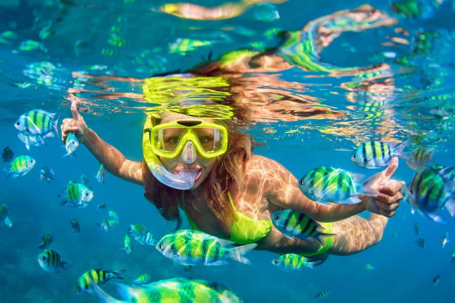 Koh Pha Ngan: Koh Tao & Nang Yuan Tour with Snorkel, Lunch - Key Things I’d Plan Around