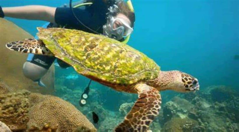 Koh Phangan: Angthong National Park Speedboat Tour - Island Sights: Sleeping Cow Island and Three Piers Island