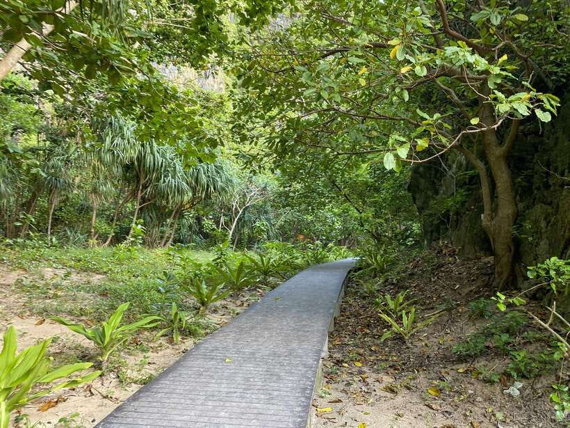 Koh Phi Phi: Early Morning Maya Bay, Bamboo Speedboat Tour - Weather, tides, and sea comfort: how to set expectations