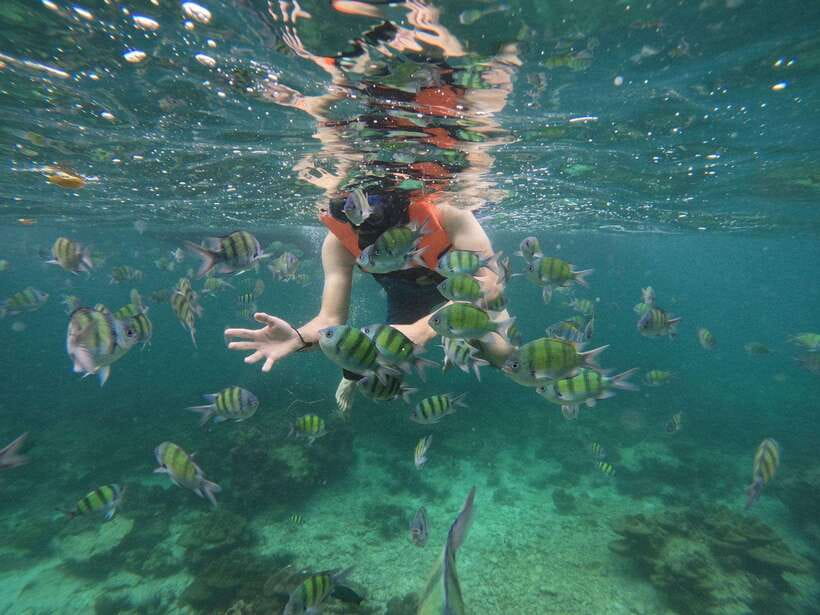 Koh Phi Phi: Early Morning Maya Bay, Bamboo Speedboat Tour - Viking Cave and Monkey Beach: quick stops with photo energy