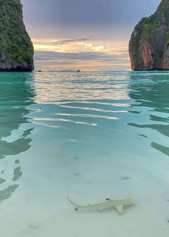 Koh Phi Phi: Maya Bay Private Longtail Boat Tour - Maya Bay First: Photo Time, Free Time, and the Real Limitations
