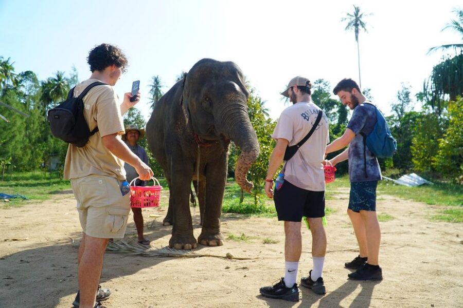 Koh Samui: 4x4 Sightseeing Safari & Elephant Sanctuary Tour - A 4x4 Safari Day With Hill Views Worth the Dirt Roads