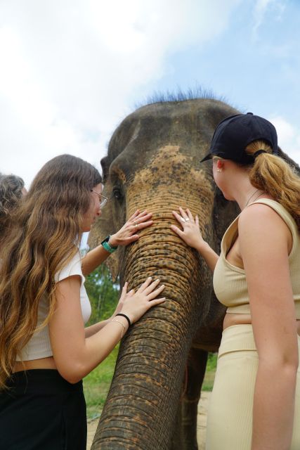 Koh Samui: 4x4 Sightseeing Safari & Elephant Sanctuary Tour - Wat Khunaram and the Mummified Monk Stop