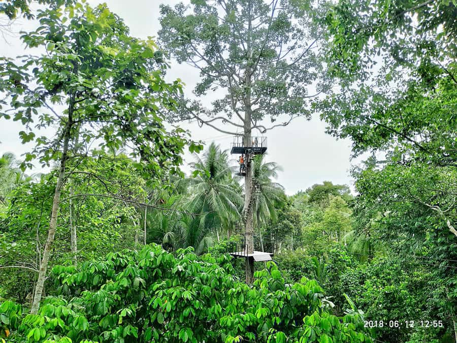 Koh Samui: ATV And Zipline Experience with Transfer - Zipline Time at Samui: Safety Briefing First, Views Second