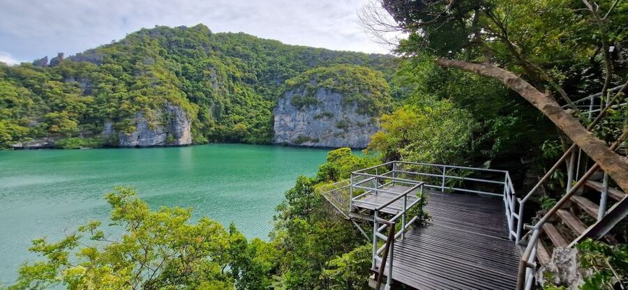 Koh Samui: Day Tour to Ang Thong with Kayak, Snorkel & Lunch - Who should book this Koh Samui to Ang Thong day tour?