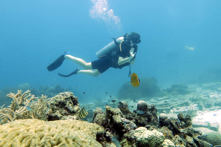 Koh Samui: Day Trip Diving at Sail Rock - Quick hits on Sail Rock from Koh Samui