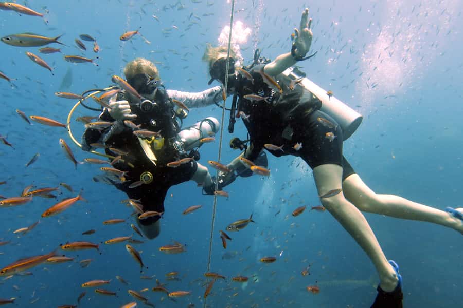 Koh Samui: Discover Scuba Diving - SSI Intro in Koh Samui: What You Learn First