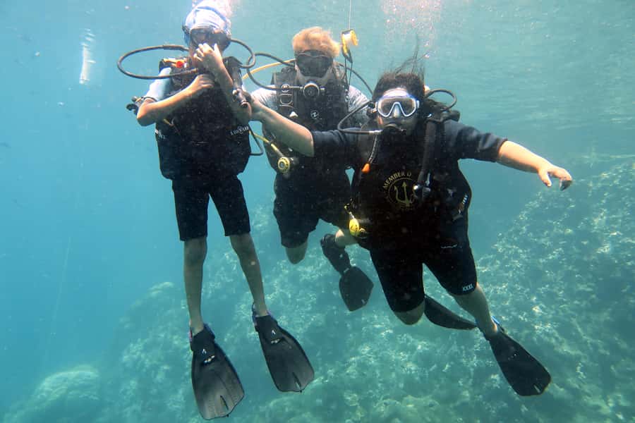Koh Samui: Discover Scuba Diving - Mango Bay and Japanese Garden: Clear Water All Year