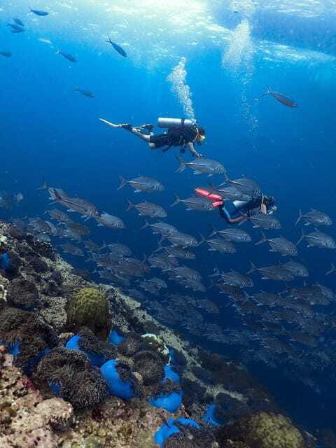 Koh Samui: Discovery Dive to Koh Tao or Sail Rock - What to bring, what not to do, and how to stay comfortable
