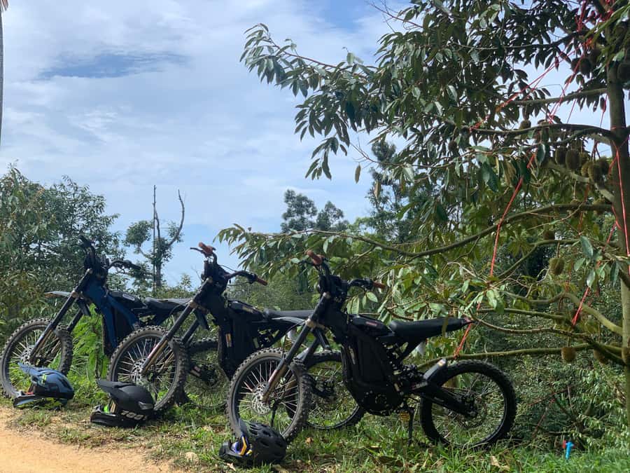 Koh Samui : Electric Motorbike trip in mountain - Who This Electric Motorbike Trip Is For (and Who Should Skip It)