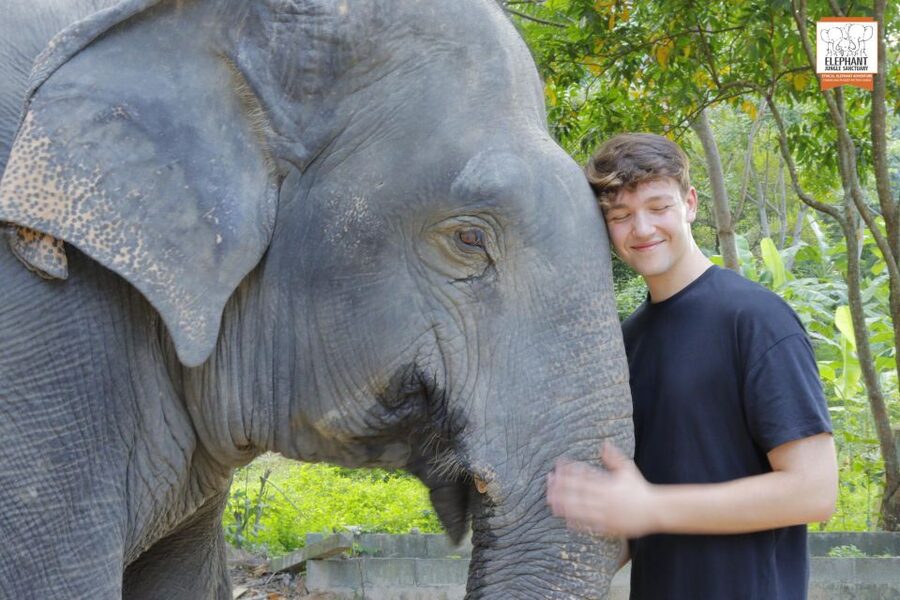 Koh Samui: Elephant Jungle Sanctuary Half-Day Tour - What to bring for a wet, outdoor half-day on Samui