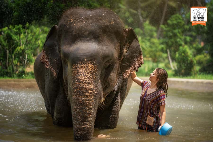 Koh Samui: Elephant Jungle Sanctuary Half-Day Tour - The 3-hour flow: from hotel pickup to lagoon swim