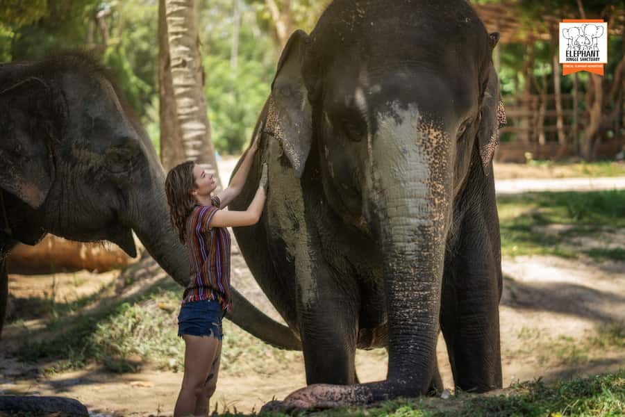 Koh Samui: Elephant Jungle Sanctuary Half-Day Tour - Jungle walk and mud spa time, where the bathing photos happen