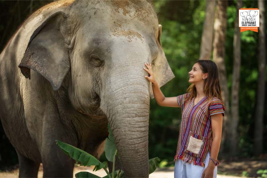 Koh Samui: Elephant Jungle Sanctuary Half-Day Tour - Thai meal at the sanctuary, plus the photo moment