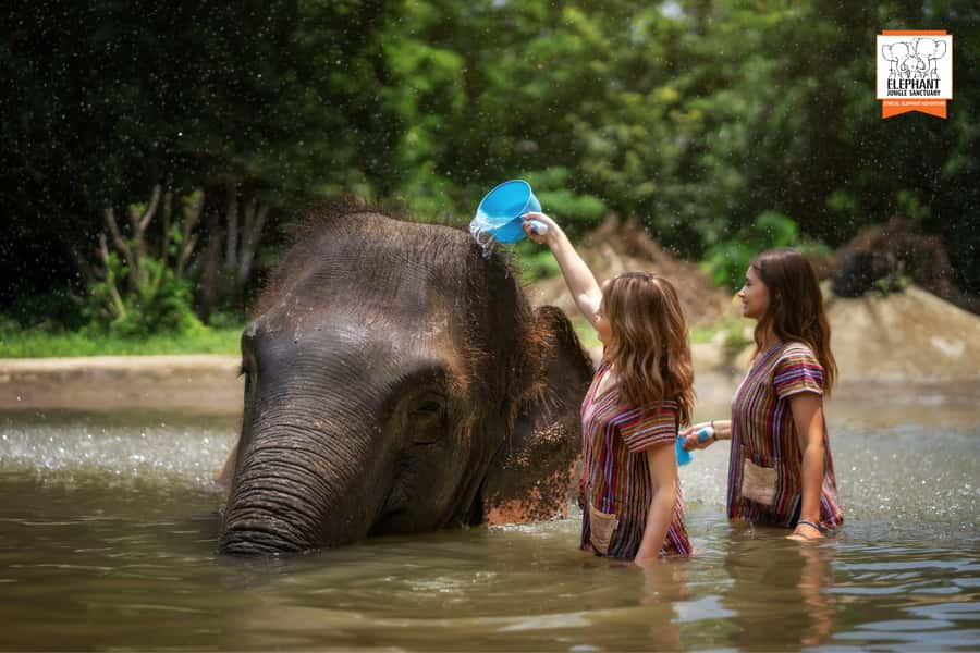 Koh Samui: Elephant Jungle Sanctuary Half-Day Tour - Price and value for $96, what you are actually paying for