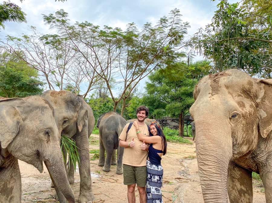 Koh Samui: Elephant Kingdom Sanctuary Half-Day Tour - The 400 meter skywalk, where the best views happen
