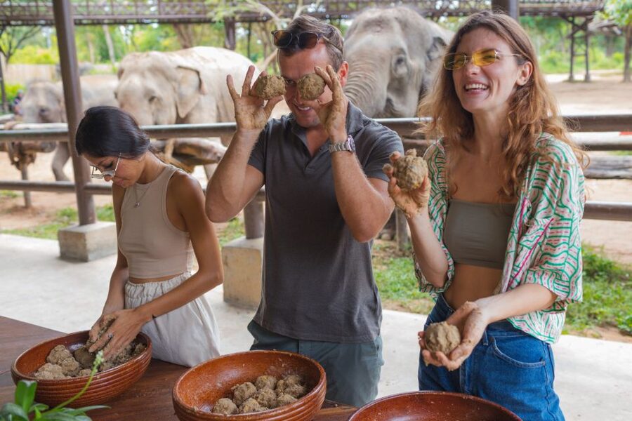 Koh Samui: Elephant Kingdom Sanctuary Half-Day Tour - No bathing with elephants, and what that means for expectations