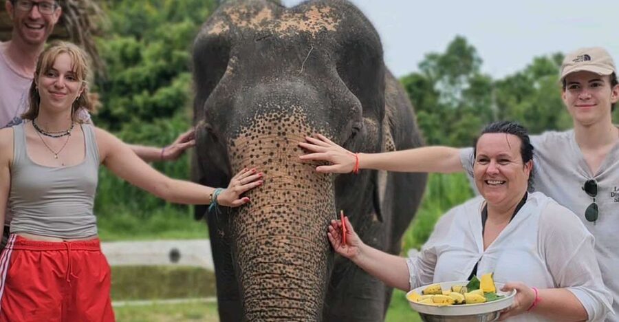 Koh Samui: Elephant Sanctuary and Jungle Tour with Lunch - Mountain Jungle Restaurant Lunch: Sea Views With Thai Comfort Food