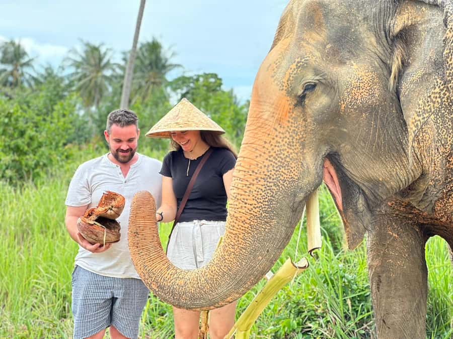 Koh Samui: Ethical Elephant Home Guided Tour with Transfers - Why This Elephant Home Feels More Like Care Than Attraction