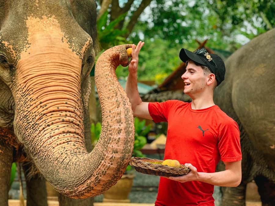 Koh Samui: Ethical Elephant Home Guided Tour with Transfers - Price and Value: Is $96 Worth It for a Koh Samui Afternoon?