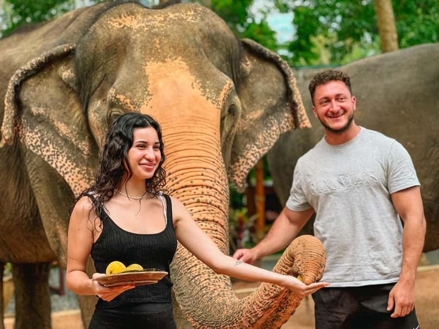 Koh Samui: Ethical Elephant Home Guided Tour with Transfers - Practical Tips Before You Go (So You Stay Comfortable)