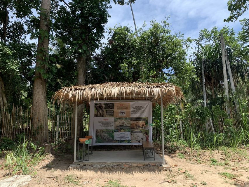 Koh Samui: Ethical Elephant Sanctuary Tour with Buffet Lunch - Should you book it?