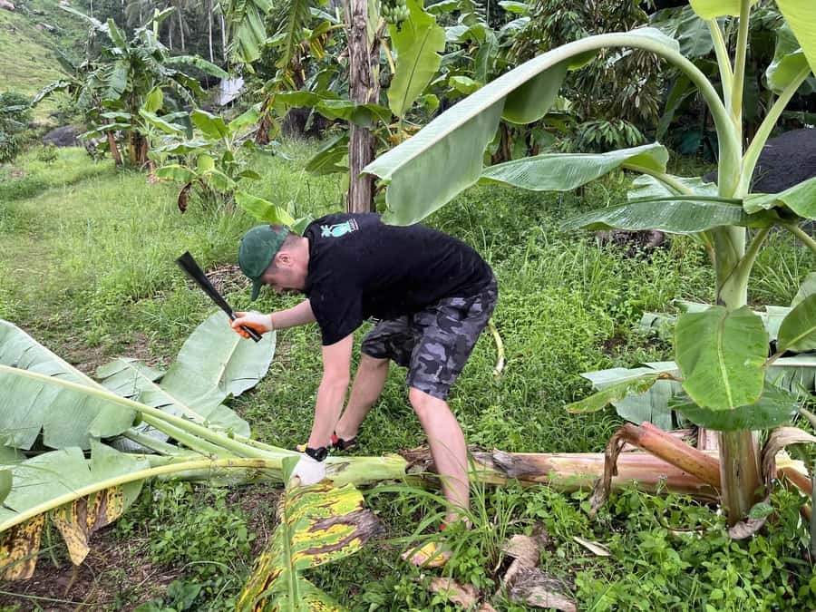 Koh Samui: Ethical Elephant Sanctuary Tour with Buffet Lunch - Making elephant food and natural dietary supplements