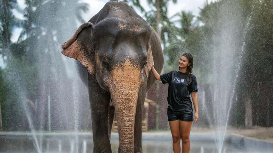 Koh Samui: Feed & Shower with Elephants Experience - Where this Koh Samui elephant experience happens (and why Mae Nam matters)