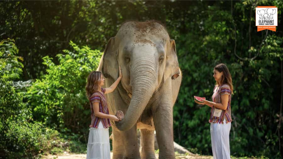 Koh Samui: Feed & Shower with Elephants Experience - The shower time: getting soaked, helping cool off, and staying comfortable