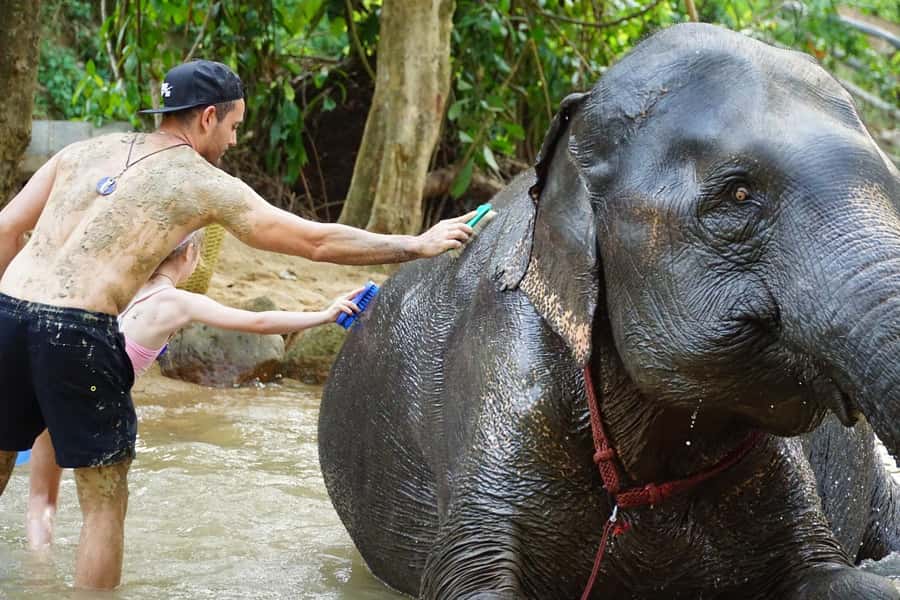Koh Samui: Half-Day Ethical Elephant Sanctuary with Mud Spa - Bathing, Shower, and Dry Clothes That Make the Day Comfortable