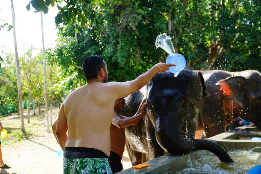 Koh Samui: Half-Day Ethical Elephant Sanctuary with Mud Spa - Thai Cooking Class With Noodle Soup and Seasonal Fruit