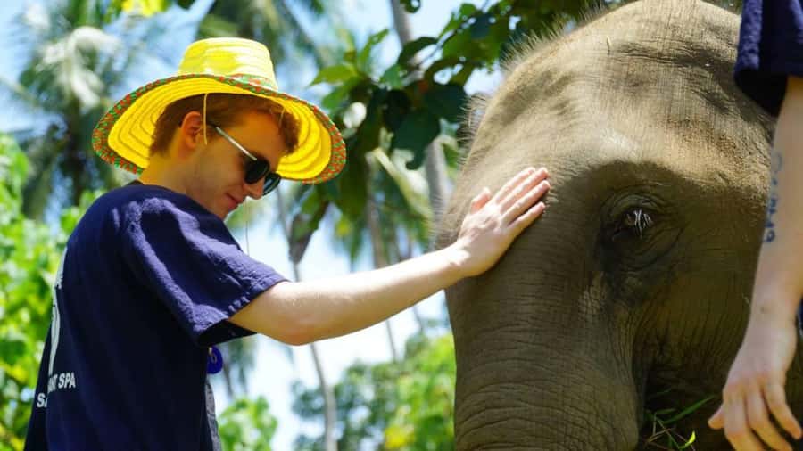 Koh Samui: Half-Day Ethical Elephant Sanctuary with Mud Spa - Getting Picked Up by Van, and Planning for Koh Samui Roads