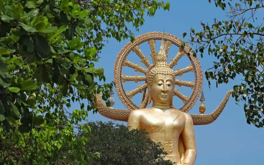Koh Samui: Half-Day Highlights Tour with Hotel Transfers - The Big Picture: A Half-Day Route That Actually Fits