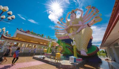 Half-Day Island Highlights Tour with Hotel Pickup