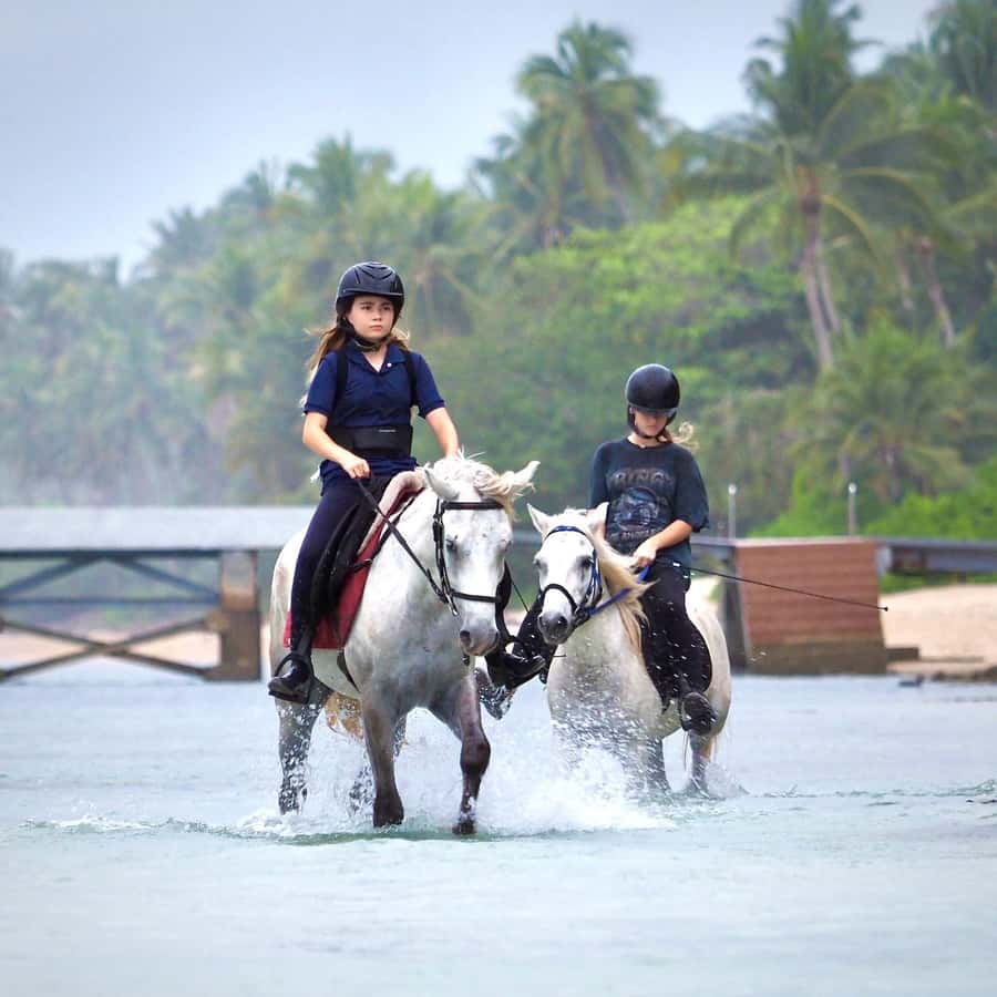 Koh Samui Horse Riding & Beach Trails - Sunrise vs Sunset: Picking the Right Time Slot
