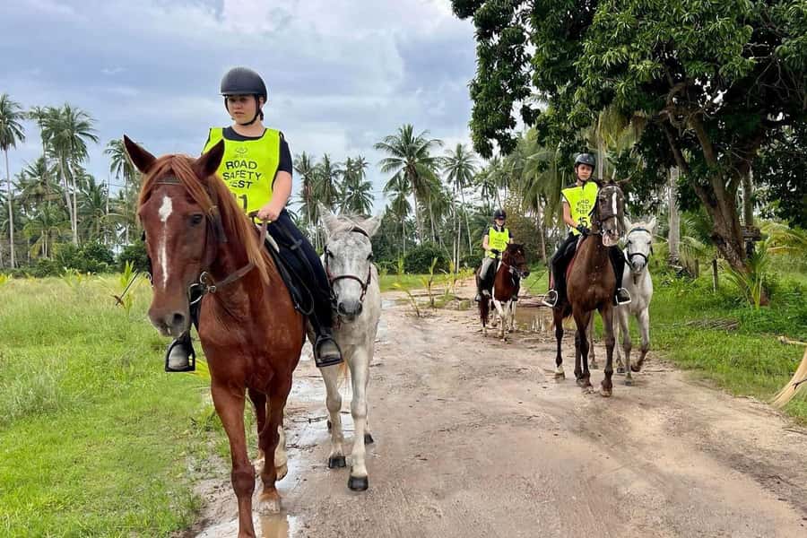 Koh Samui Horse Riding & Beach Trails - Sea Riding Options in the Gulf of Thailand