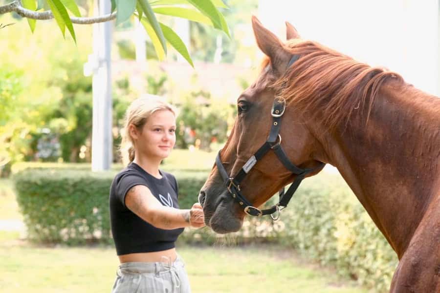 Koh Samui Horse Riding & Beach Trails - Safety Rules That Matter More Than You Think