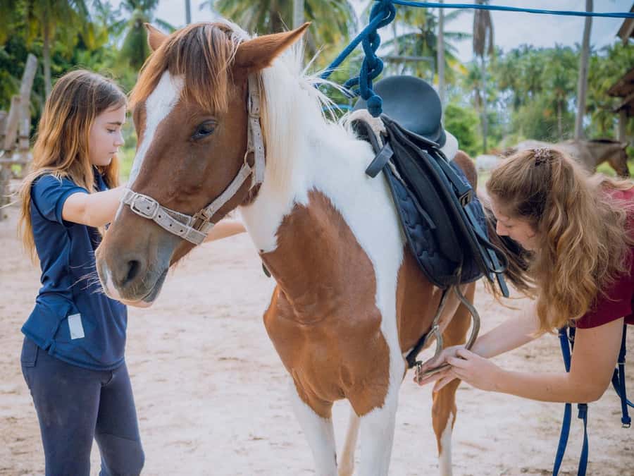 Koh Samui Horse Riding & Beach Trails - What You Get Included, and What You Should Bring