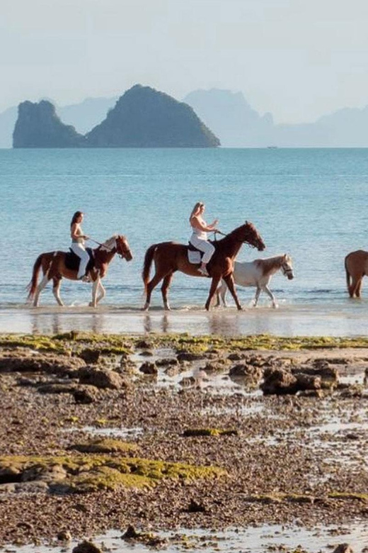Koh Samui Horse Riding & Beach Trails - Small Group Size, Personal Attention, and Kids on Horses