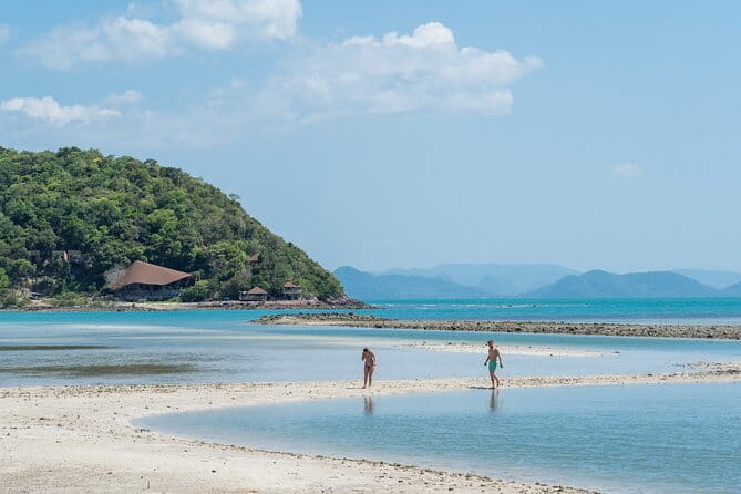 Koh Samui: Island Hopping Adventure in Coral and Pig Island - Koh Samui Island Hopping That Mixes Pigs and Coral Reefs
