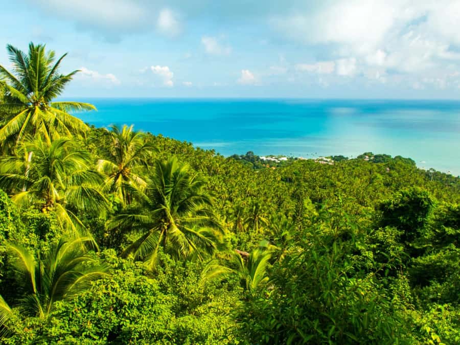 Koh Samui: Jungle, Mountains and Waterfalls ATV Tour - Koh Samui ATV tour: what makes this ride more than a quick thrill