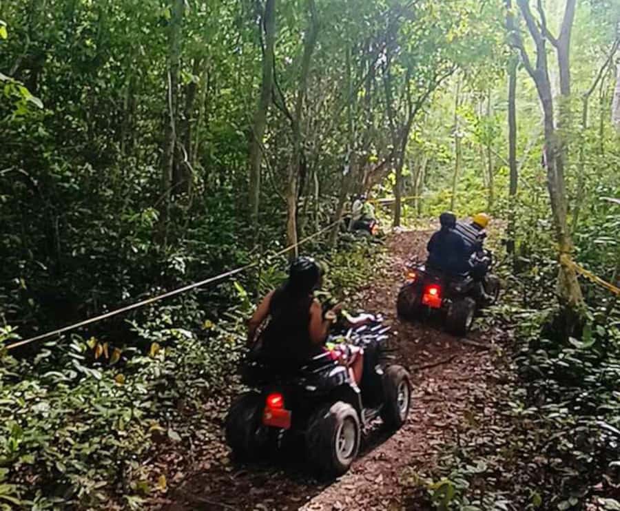 Koh Samui: Jungle, Mountains and Waterfalls ATV Tour - The jungle trails: where the adrenaline really lives