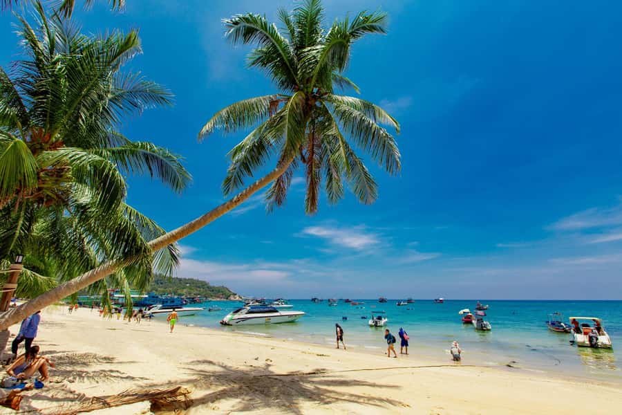 Koh Samui: Ko Tao & Nang Yuan Premium Tour Lunch & Transfer - Price and what’s actually included in the $61