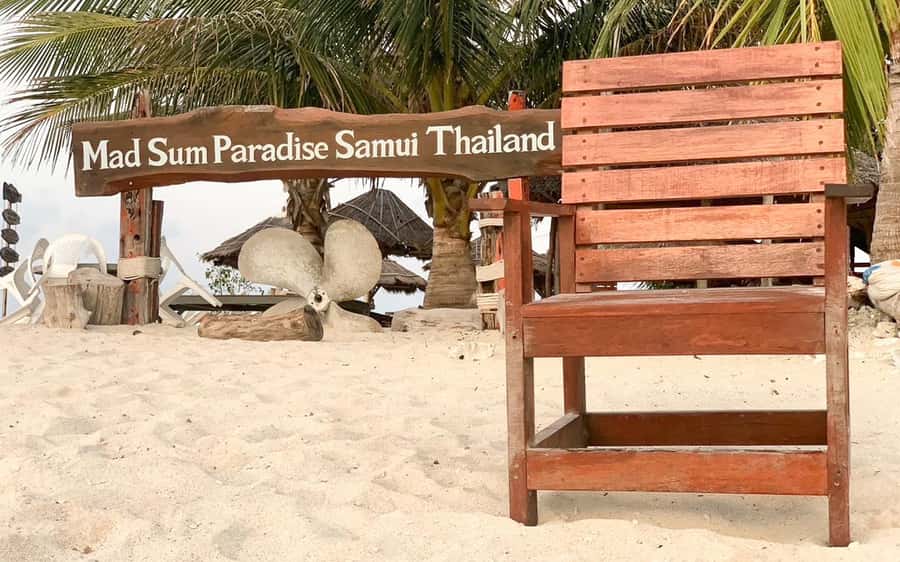 Koh Samui: Koh Tan and Koh Madsum Half-Day Tour by Catamaran - Who This Tour Suits Best, and Who Should Skip It