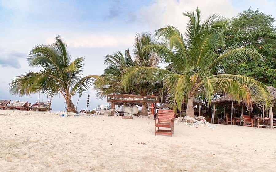 Koh Samui: Koh Tan and Koh Madsum Half-Day Tour by Catamaran - Price and Value: Is $70 Worth It?