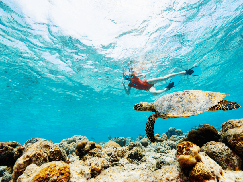 Koh Samui: Koh Tao and Nangyuan Snorkeling Tour by Catamaran - Who should book this Koh Tao and Nangyuan trip from Samui