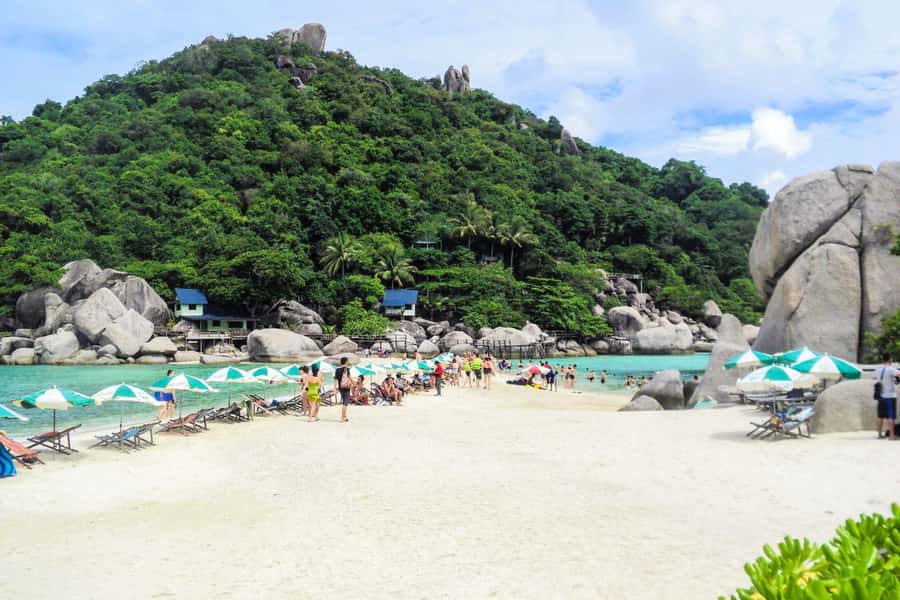 Koh Samui: Koh Tao and Nangyuan Snorkeling Tour with Lunch - Who should book this tour, and who should sit this one out