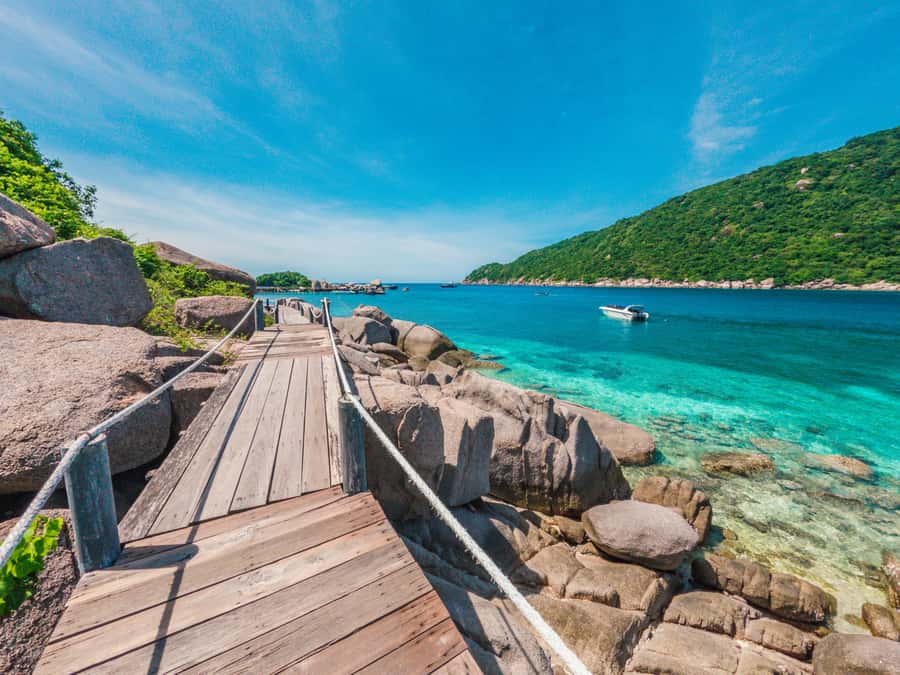Koh Samui: Koh Tao and Nangyuan Snorkeling Tour with Lunch - Nangyuan Island: sand, swimming, and the viewpoint hike you’ll feel