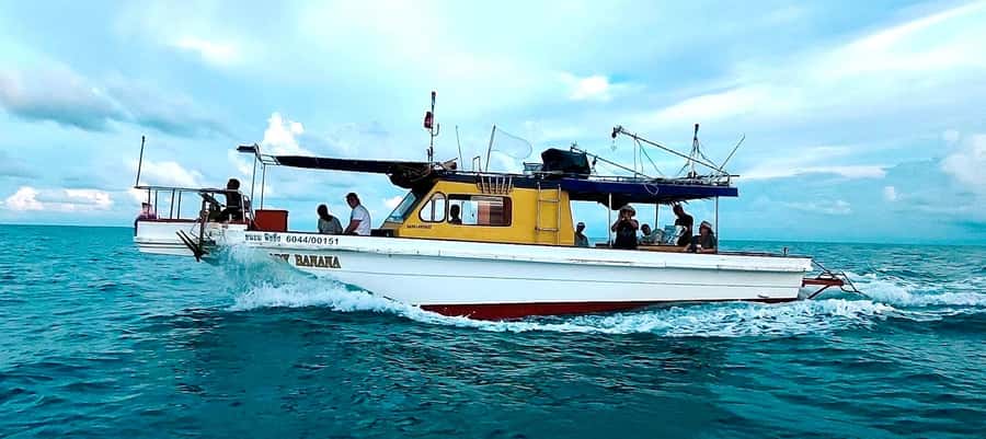 Koh Samui: Mr.Ung's Private Fishing/Boat Trip/Snorkeling/BBQ - Lunch on the water: BBQ timing, what’s included, and why it matters